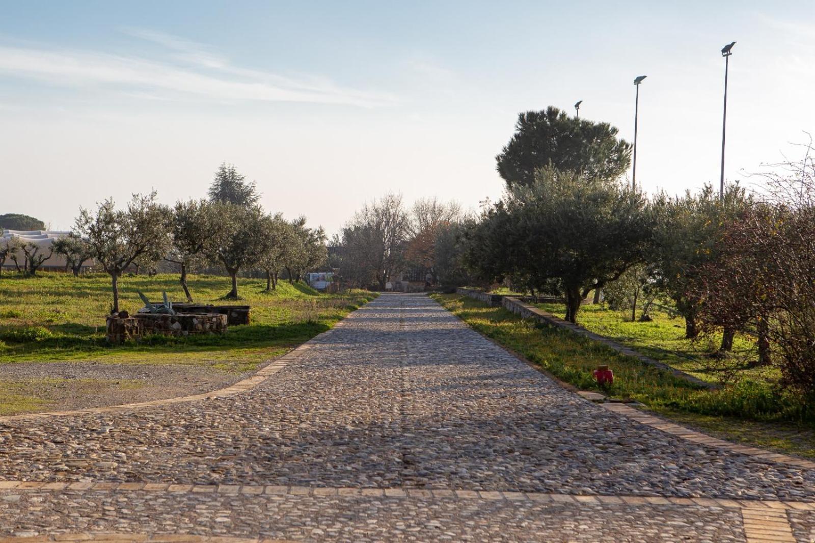 Agriturismo Masseria Fonte Di Maroglio Кастровиллари Экстерьер фото