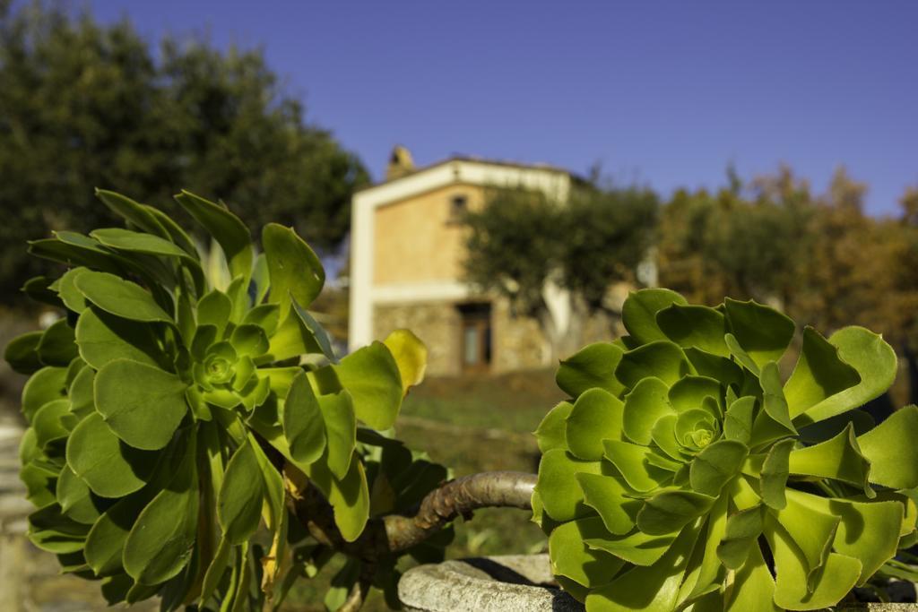 Agriturismo Masseria Fonte Di Maroglio Кастровиллари Экстерьер фото